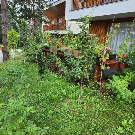 Villa Forest No 303,tarcin