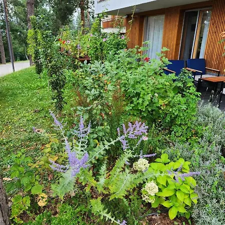Villa Forest No 303,tarcin *