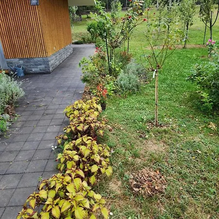 Forest No 303,tarcin * Szarajevó