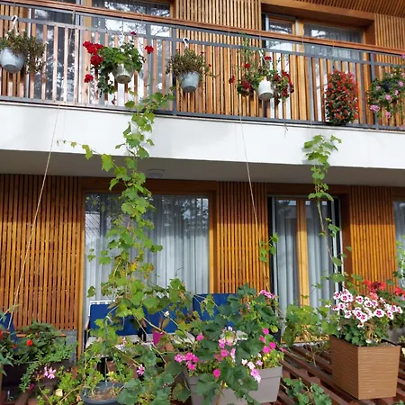 Forest No 303,tarcin *