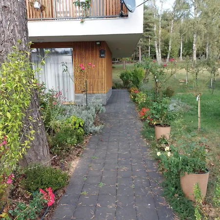 Forest No 303,tarcin * Szarajevó